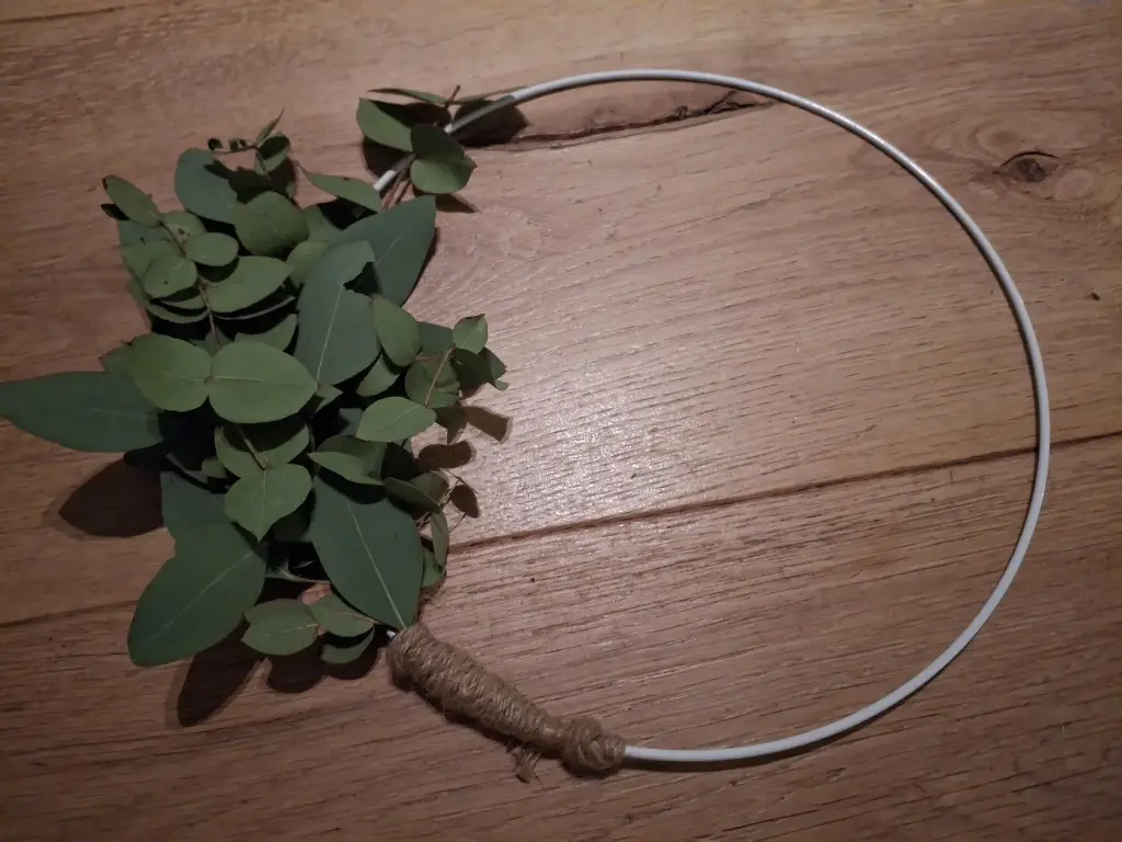 Kleine eucalyptusring